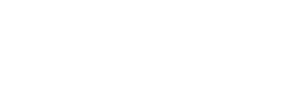 Nexon_branco