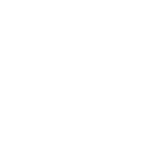 nvidia_branco